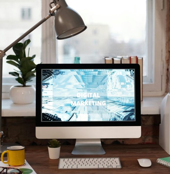 pexels-mikael-blomkvist-6476591